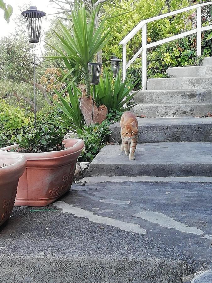 U Castiddanu breathtaking view Appartement Taormina Buitenkant foto